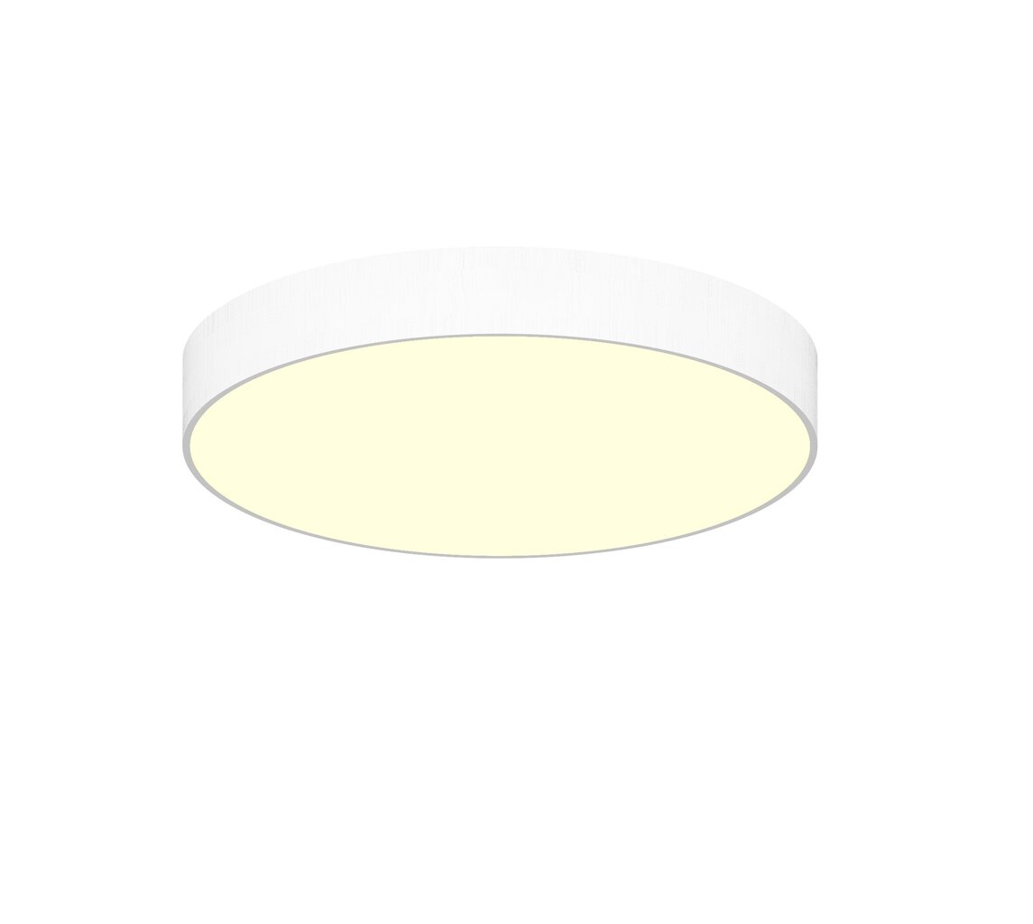 Griestu LED lampa Concise 48W, Ø450mm, Balta, dimerizējama cena un informācija | Griestu lampas | 220.lv