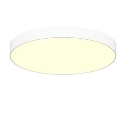 Griestu LED lampa Concise 60W, Ø600mm, Balta, цена и информация | Потолочные светильники | 220.lv