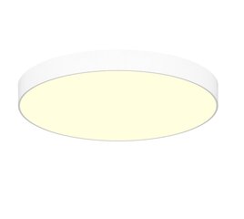 Griestu LED lampa Concise 60W, Ø600mm, Balta, dimerizējama цена и информация | Потолочные светильники | 220.lv
