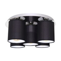 Потолочный светильник Merida цена и информация | Потолочные светильники | 220.lv