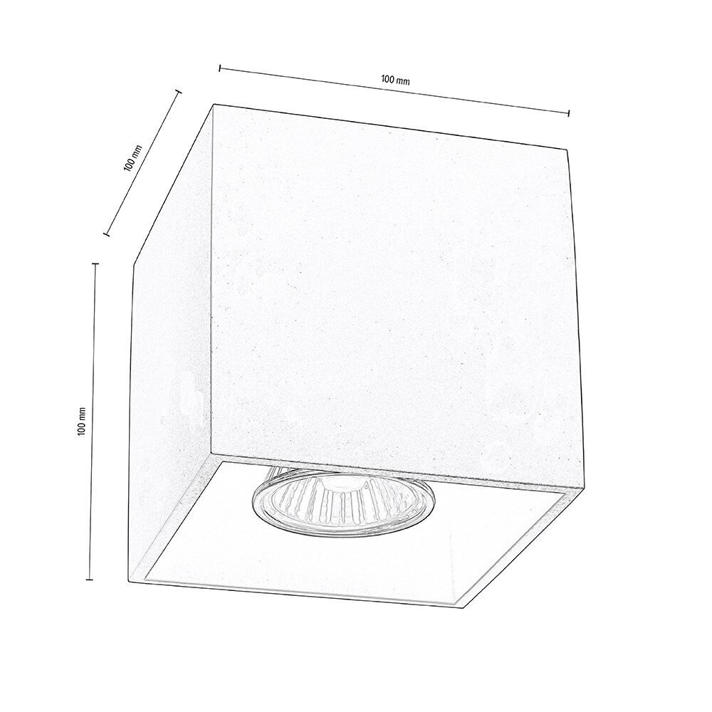 Griestu lampa Nicold cena un informācija | Griestu lampas | 220.lv