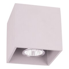 Griestu lampa Nicold цена и информация | Потолочные светильники | 220.lv
