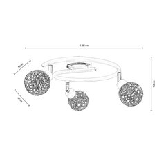 Griestu lampa Virgo cena un informācija | Griestu lampas | 220.lv