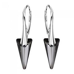 Серебряные серьги "Шип II (Silver Night)" с кристаллами Swarovski™ DS02A544 цена и информация | Серьги | 220.lv