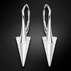 Серебряные серьги "Шип II" с кристаллами Swarovski™ DS02A545 цена и информация | Серьги | 220.lv