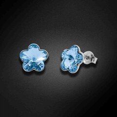 Серебряные серьги "Солнечный Цветок (Aquamarine)" с кристаллами Swarovski™ DS02A571 цена и информация | Серьги | 220.lv