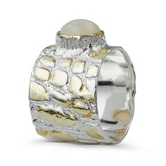 Серебряное (925) кольцо с драгоценными камнями, код f50308 F50308EU-58 цена и информация | Кольца | 220.lv