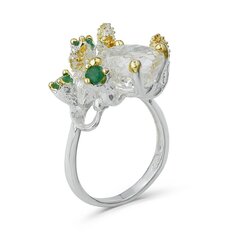 Серебряное (925) кольцо с драгоценными камнями, код f50326 F50326EU-53 цена и информация | Кольца | 220.lv