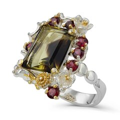 Серебряное (925) кольцо с драгоценными камнями, код f50314 F50314EU-60 цена и информация | Кольца | 220.lv