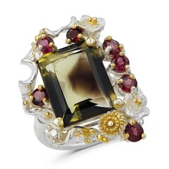Серебряное (925) кольцо с драгоценными камнями, код f50314 F50314EU-60 цена и информация | Кольца | 220.lv