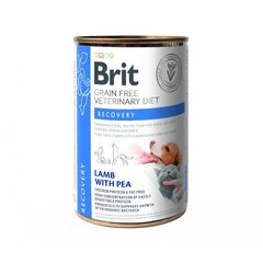 Brit GF Veterinary Diets для взрослых собак и кошек с бараниной и горошком Recovery, 0,4 кг цена и информация | Консервы для собак | 220.lv