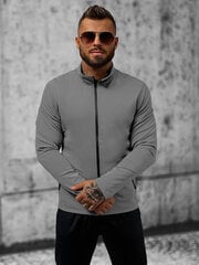 Спортивный свитер Trendy Zipper для мужчин, серый цена и информация | Мужские толстовки | 220.lv