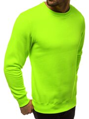 Neona zaļš džemperis Vurt 2001-10-50549-M cena un informācija | Vīriešu jakas | 220.lv