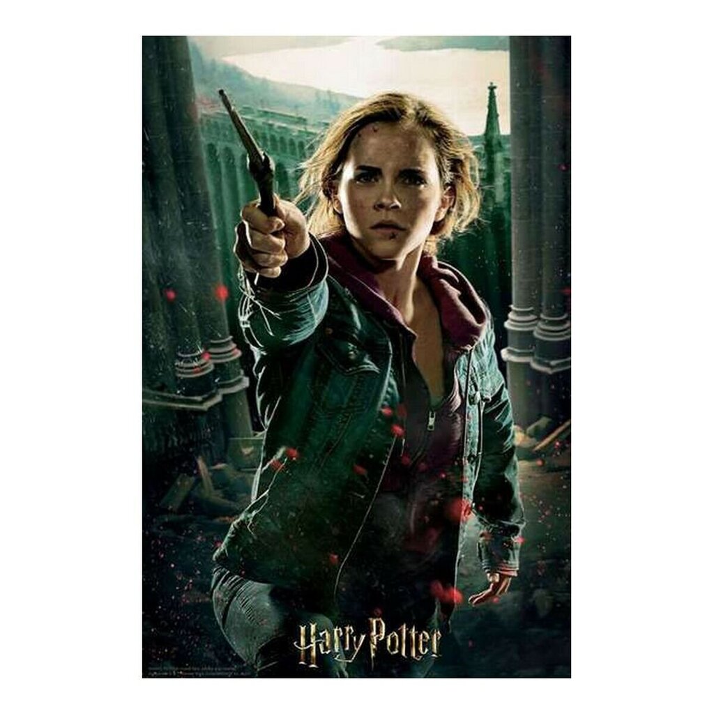 Puzle Harry Potter Prime3D, 300 d. цена и информация | Puzles, 3D puzles | 220.lv