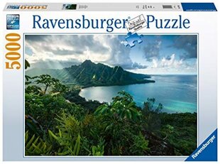 Пазл Ravensburger Hawaii, 5000 д. цена и информация | Пазлы | 220.lv