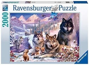 Пазл Ravensburger Wolves in the Snow, 2000 д. цена и информация | Пазлы | 220.lv
