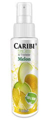 Домашний парфюм  Caribi Melon, 100мл цена и информация | Ароматы для дома | 220.lv