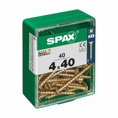 Skrūvju kaste SPAX Koka skrūve Plakana galva (4,0 x 40 mm) (4 x 40 mm) cena un informācija | Stiprinājumi | 220.lv
