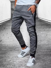Спортивные штаны для мужчин P900, серый меланж цена и информация | Мужские брюки | 220.lv