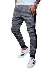 Спортивные штаны для мужчин P900, серый меланж цена и информация | Мужские трусы Nek, черные | 220.lv