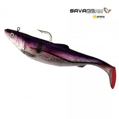 Резиновая приманка SG 3D Herring Big Shad 25см 300г цена и информация | Другие товары для рыбалки | 220.lv