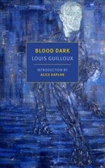 Blood Dark Main cena un informācija | Fantāzija, fantastikas grāmatas | 220.lv