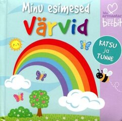 MINU ESIMESED VÄRVID. KATSU JA TUNNE цена и информация | Книги для малышей | 220.lv