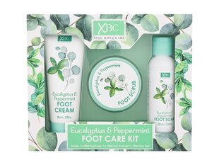 Набор для ухода за ногами Xpel Eucalyptus & Peppermint: скраб для ног, 100 мл + гель для пропитывания ног, 100 мл + крем для ног, 100 мл цена и информация | Кремы, лосьоны для тела | 220.lv