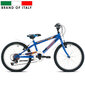 Bērnu velosipēds ESPERIA 20 Happy (9200B) zils cena un informācija | Velosipēdi | 220.lv