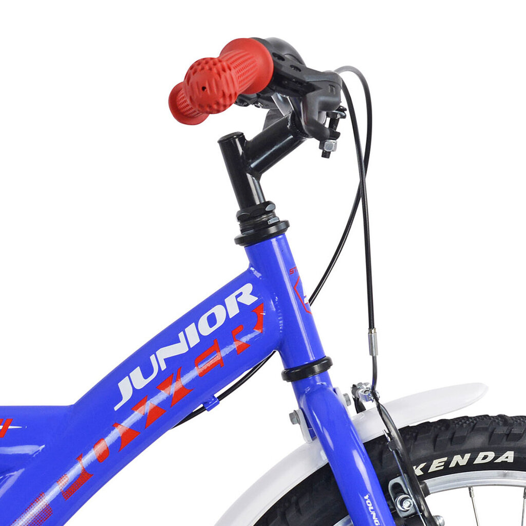 Bērnu velosipēds STUCCHI 20 Junior (19S640) zils cena un informācija | Velosipēdi | 220.lv