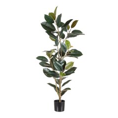 Декоративное растение 49 x 45 x 125 cm PVC фикус Темно-зеленый цена и информация | Искусственные цветы | 220.lv