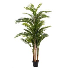 Dekoratīvs Augs Areca Zaļš 189 cm cena un informācija | Mākslīgie ziedi | 220.lv