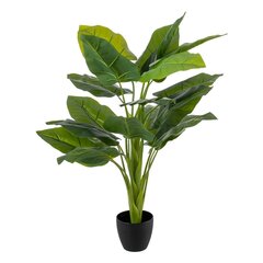 Dekoratīvs Augs Zaļš 95 cm Lilija cena un informācija | Mākslīgie ziedi | 220.lv