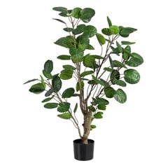 Декоративное растение 80 x 77 x 113 cm Зеленый PVC Aralia цена и информация | цветочные соцветия 1 шт | 220.lv