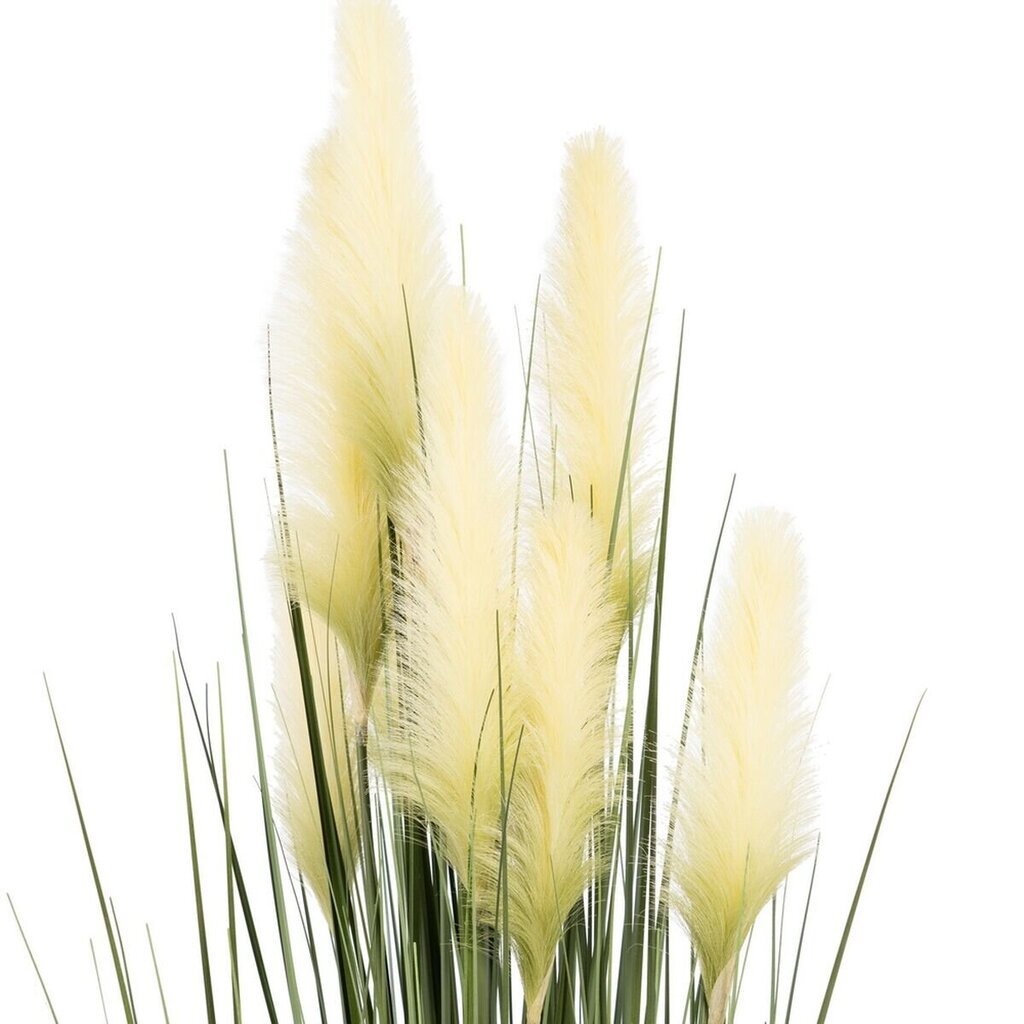Dekoratīvs Augs 57 x 53 x 150 cm Zaļš Krēmkrāsa PVC cena un informācija | Mākslīgie ziedi | 220.lv
