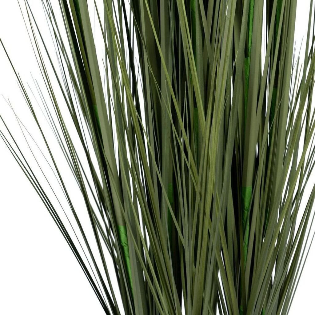 Dekoratīvs Augs 57 x 53 x 150 cm Zaļš Krēmkrāsa PVC cena un informācija | Mākslīgie ziedi | 220.lv