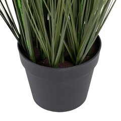 Декоративное растение 57 x 53 x 150 cm Зеленый Кремовый PVC цена и информация | Искусственные цветы | 220.lv
