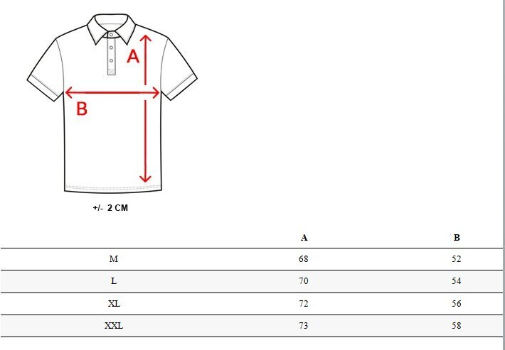 Brūns polo krekls Horen PX0585-51002-XXL цена и информация | Vīriešu T-krekli | 220.lv