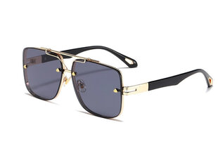 Поляризованные солнцезащитные очки для мужчин S27 цена и информация | Солнцезащитные очки для мужчин | 220.lv