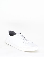 Sporta stila apavi vīriešiem, ELCHE 17717602.45 cena un informācija | Sporta apavi vīriešiem | 220.lv