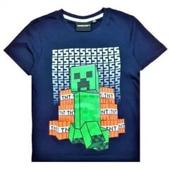 Комплект из футболки и шорт для детей Minecraft цена и информация | Комплекты для мальчиков | 220.lv
