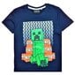 Minecraft bērnu T-kreklu un šortu komplekts cena un informācija | Komplekti zēniem | 220.lv