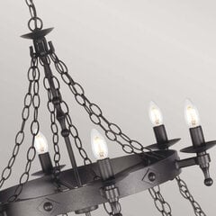 Подвесной светильник Elstead Lighting Warwick цена и информация | Люстры | 220.lv