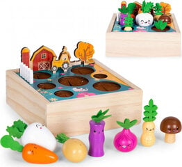 Koka kaste ar dārzeņiem EcoToys cena un informācija | Attīstošās rotaļlietas | 220.lv