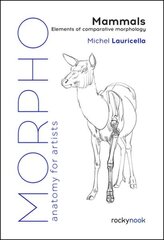 Morpho: Mammals: Elements of Comparative Morphology цена и информация | Книги об искусстве | 220.lv