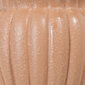Bigbuy Garden puķu pods 17,5 x 17,5 x 14,5 cm Keramika Laša krāsas цена и информация | Puķu podi | 220.lv