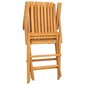 Saliekami dārza krēsli vidaXL, 2 gab., 61x67x90 cm, brūns цена и информация | Dārza krēsli | 220.lv