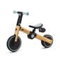 Trīsritenis 3in1 Kinderkraft 4Trike, zeltains/gaiši zils цена и информация | Trīsriteņi | 220.lv