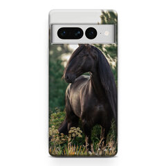 Telefona vāciņš ar dizaina apdruku Google Pixel 5A cena un informācija | Telefonu vāciņi, maciņi | 220.lv