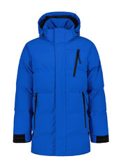 Мужская зимняя куртка Luhta KARISTO, синий цвет цена и информация | Мужские куртки | 220.lv